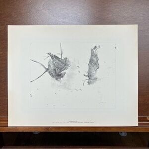 Andrew Wyeth’s “Storing Up” 17”x13.25” from Four Seasons Portfolio Vintage Print